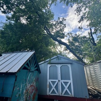 Muniz Tree Service - Before job, touching neighbors power lines - Tree Services Near Me Muniz Tree Service - Before job, touching neighbors power lines - Tree Services Near Me