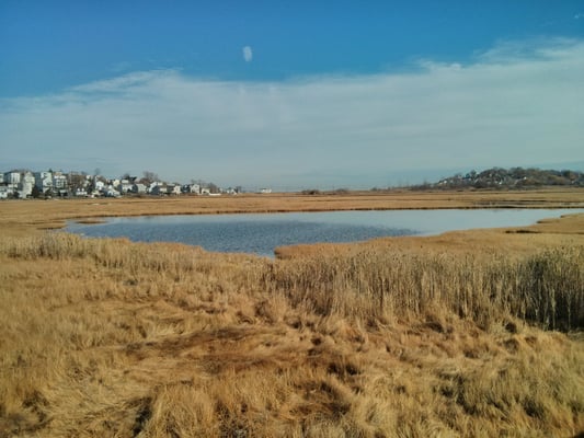 Belle Isle Marsh Reservation by null