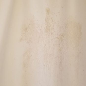 Tides Inn - Moldy bathroom - Hotels Near Me - Port Townsend, Washington Tides Inn - Moldy bathroom - Hotels Near Me - Port Townsend, Washington