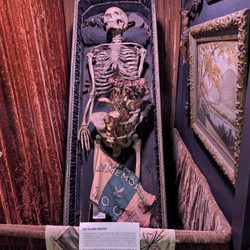 Graveface Museum - Grandpa Graveface. A real Odd Fellow.