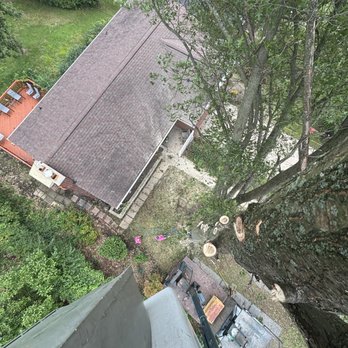 Senica's Tree Service - Tree Services Near Me - Pittsburgh, Pennsylvania Senica's Tree Service - Tree Services Near Me - Pittsburgh, Pennsylvania