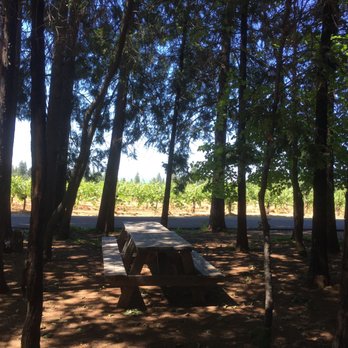 Madrona Vineyards - Nice place for a picnic - Wineries Near Me - Camino, California
