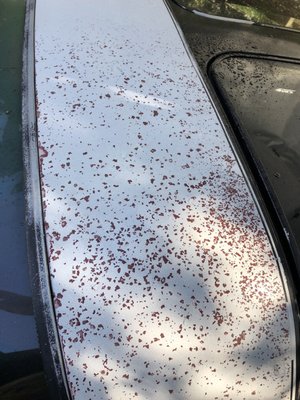 Hotrods & Handlebars