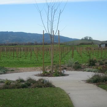 Frog's Leap Winery - Wineries Near Me - Rutherford, California Frog's Leap Winery - Wineries Near Me - Rutherford, California