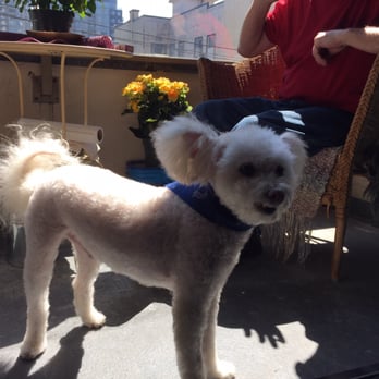 Pawsh Dog Spa - Pet Groomers Near Me - Vancouver, British Columbia Pawsh Dog Spa - Pet Groomers Near Me - Vancouver, British Columbia