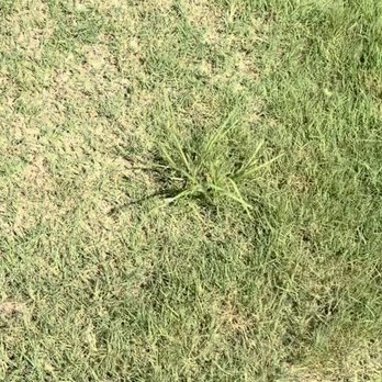 Unlimited Lawn Care - Lawn Services Near Me - Suwanee, Georgia Unlimited Lawn Care - Lawn Services Near Me - Suwanee, Georgia