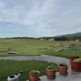 Photo of Castle Vineyards
