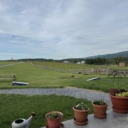 Castle Vineyards - Outside