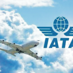Elevit Tourism & Travel Agency
