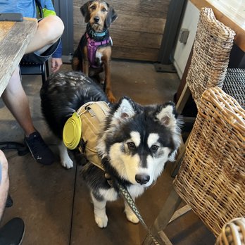 Urban Plates - Dog friendly patio - New American Near Me - Brea, California Urban Plates - Dog friendly patio - New American Near Me - Brea, California