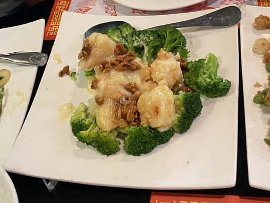 Lotus Garden by null