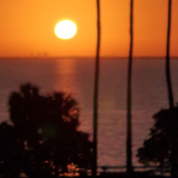 Tocobaga Tours - Sunrise Safety Harbor December. - Tours Near Me - Safety Harbor, Florida