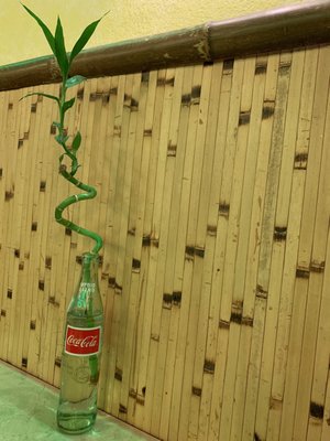 Oriental Cuisine Restaurant Pflugerville Tx ORIENTAL KITCHEN - 303 Photos & 154 Reviews - Chinese - 1100 Grand Ave Pkwy, Pflugerville, TX