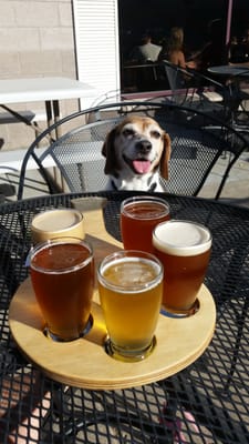 LTD Brewing Co. by null