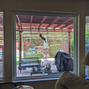 JC Solutions Handyman - Perfect pergola shade - top and sides. Strong and sturdy. Withstands the Tracy winds. Repaired damage done by previous painters too! - Handyman Near Me JC Solutions Handyman - Perfect pergola shade - top and sides. Strong and sturdy. Withstands the Tracy winds. Repaired damage done by previous painters too! - Handyman Near Me