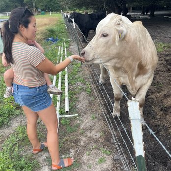Mick Farms - Farmers Market Near Me - Saint Cloud, Florida