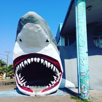 Destination Beach & Surf - Sports Wear Near Me - Port Aransas, Texas Destination Beach & Surf - Sports Wear Near Me - Port Aransas, Texas
