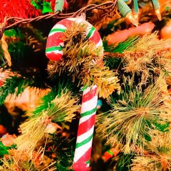 Department of Motor Vehicles - Everyday can be Christmas, wander with while we wait for our number to be called.