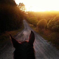 XLR8 Ranch - Beautiful scenery