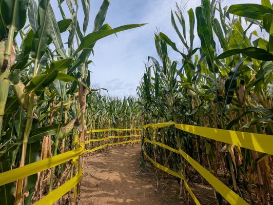 Wightman Farms by null