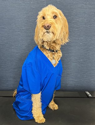 Ramar Chiropractic and Rehab