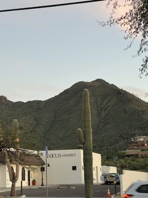 The City Creamery by null