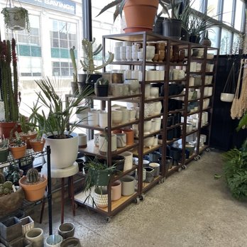 Sunnyside Plants - Interior of a plant store showcasing a variety of potted plants, including cacti and succulents, arranged on shelves and stands. The store has large windows allowing natural light to illuminate the space, with multiple shelves filled with ceramic planters in different colors and sizes. Additional plants are visible on the floor and on top of the shelves, creating a lush display of indoor gardening items. - Nurseries & Gardening Near Me - Chicago, Illinois