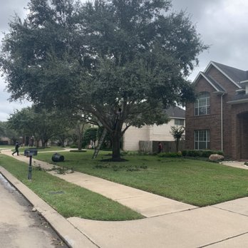 Garcia Professional Tree Service - Tree Trimming 281-660-7362 - Tree Services Near Me - Katy, Texas Garcia Professional Tree Service - Tree Trimming 281-660-7362 - Tree Services Near Me - Katy, Texas
