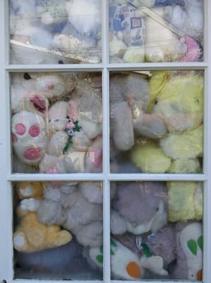 The Bunny Museum by null