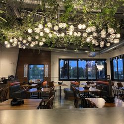 Alter Brewing + Kitchen - Dining area