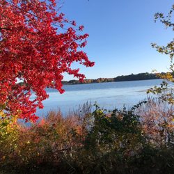 Chauncy Lake - October 2022