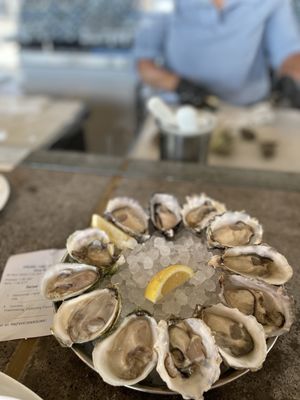 Shuck Oyster Bar by null