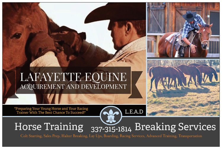 LAFAYETTE EQUINE ACQUIREMENT AND DEVELOPMENT Updated August 2024