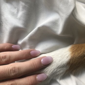 CT Nails - Nails - Nail Salons Near Me - Denver, Colorado CT Nails - Nails - Nail Salons Near Me - Denver, Colorado