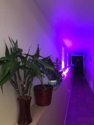 Blue Moon Spa 320 International Blvd Oakland Ca Beauty Day Spas Blue Moon Spa 320 International Blvd