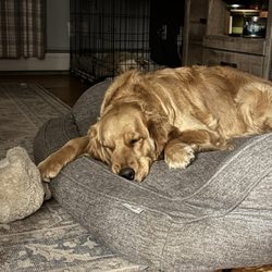 A New Chance Animal Rescue