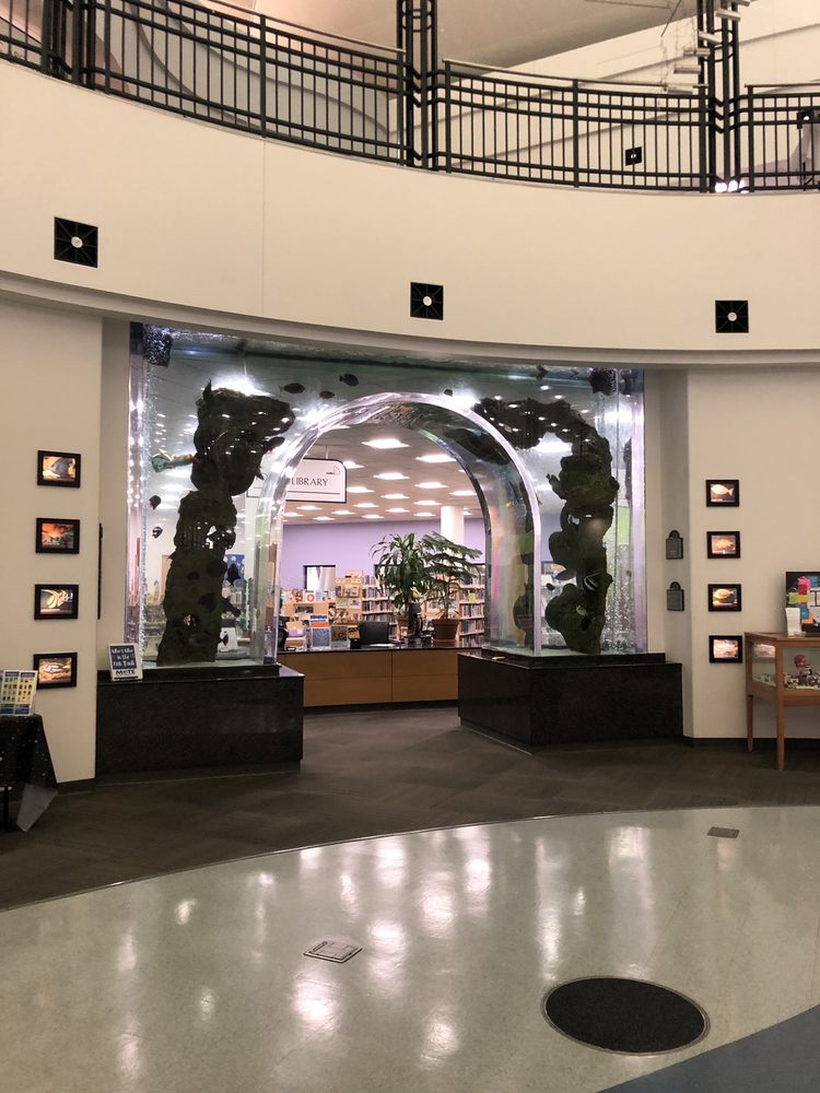 FRIENDS OF THE SELBY PUBLIC LIBRARY Updated April 2025 24 Photos