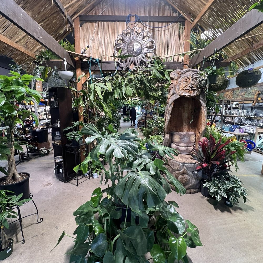 Indoor Sun Shoppe - MUST. STOP. BY. - Nurseries & Gardening Near Me - Seattle, Washington Indoor Sun Shoppe - MUST. STOP. BY. - Nurseries & Gardening Near Me - Seattle, Washington