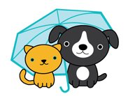 It's Raining Cats & Dogs Image