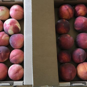 Grace's Oak Tree - White Peaches & Yellow Peaches - Food Stands Near Me - Philo, California