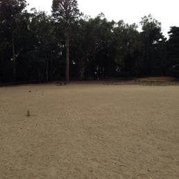 View of the dog park amongst the trees! View of the dog park amongst the trees!