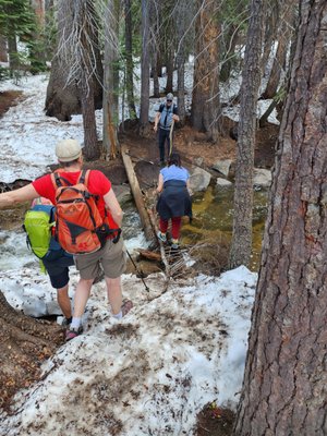 Sentinel Dome by null
