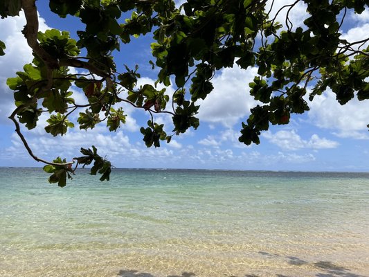 Anini Beach by null