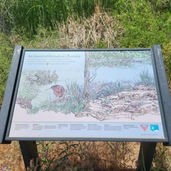 Sedona Wetlands Preserve