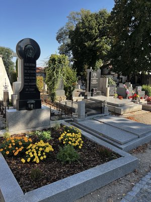 Sedlec Ossuary by null