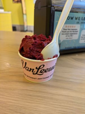 Van Leeuwen Ice Cream by null