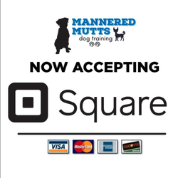 Mannered Mutts Dog Training