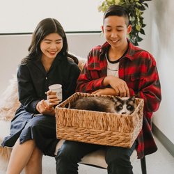 Cat Cafe Rescue