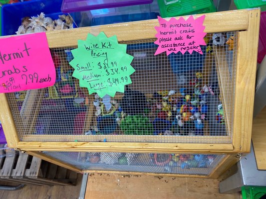 RILEY’S T SHIRTS - Updated July 2025 - 12 Photos - 1839 U.S. 9, Lake ...