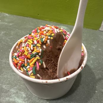Lizzy's Ice Cream - Charles river crunch with sprinkles - Ice Cream & Frozen Yogurt Near Me - Cambridge, Massachusetts